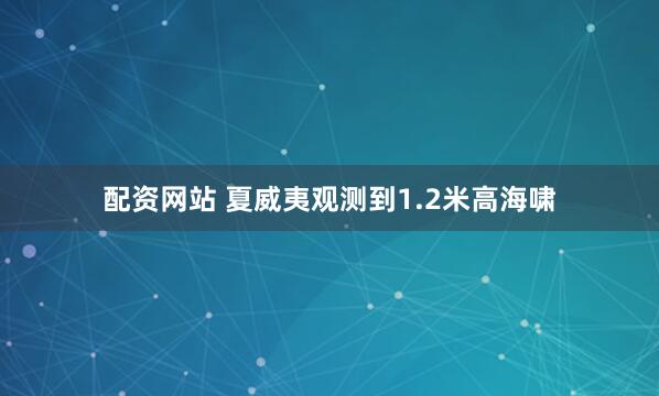 配资网站 夏威夷观测到1.2米高海啸