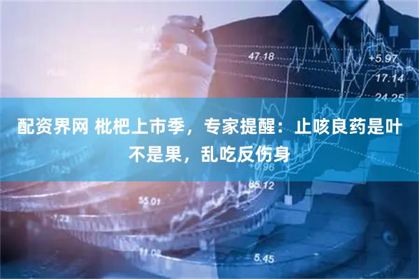 配资界网 枇杷上市季，专家提醒：止咳良药是叶不是果，乱吃反伤身