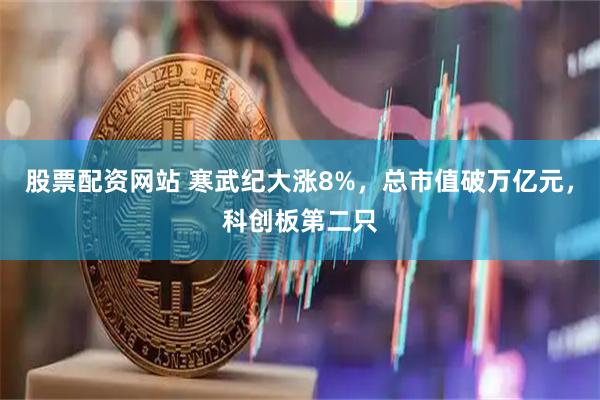 股票配资网站 寒武纪大涨8%,总市值破万亿元,科创板第二只
